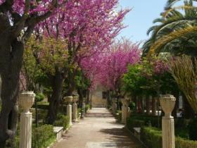 viale fiorito dei Giardini Iblei