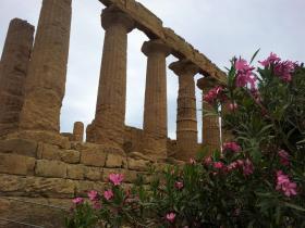 valley of the temples in Agrigento