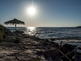 umbrella on the beach of torredimezzo